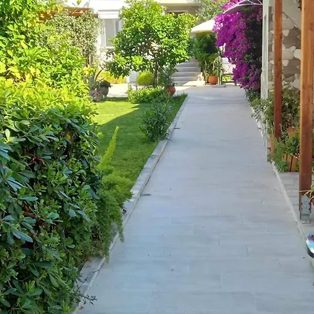 Villa Alkistis House Volos Exterior foto